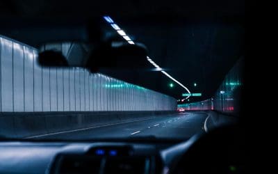 How Often Should I Check My Employee’s Licences?